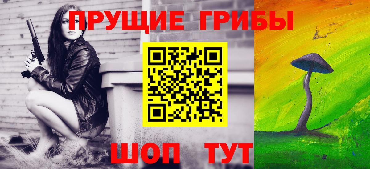 Орск  Галлюциногенные грибы прущие грибы  Галлюциногенные грибы мицелий  Вход с VPN 