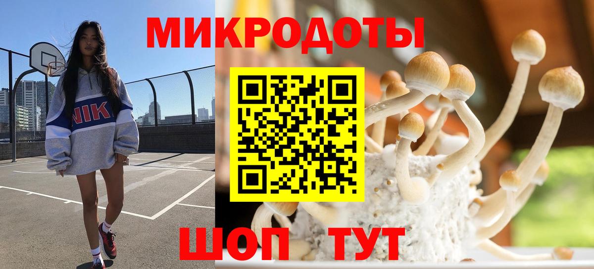 Псилоцибиновые грибы мухоморы Орск